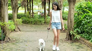 Woman walking with her dog in the park