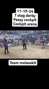 56K views · 1K reactions | Balik tanaw  7 stag derby sa pasay Nakibitaw ang mananari | Manok Putikan Backyard | Facebook