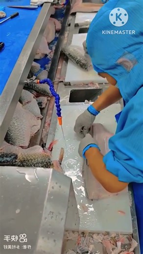 Fish Slicing Skills by Experts l 😍 l #shorts #viralfishcutting #fishslice