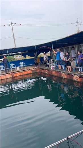 대물이다! 주변 낚시대 다 걷어주세요~! #fishing #낚시