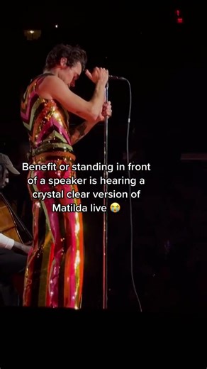 Harry Styles' Matilda: Love On Tour NYC Highlights