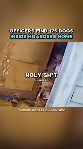 Officers SAVE 175 Dogs Living In Hoarders Home 😨