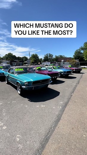 5 MUSTANGS FOR SALE!! Which one is your favorite? #cars #classics #classiccars #classiccarsforsale #vintage #vintagecars #mustang #classicmustang