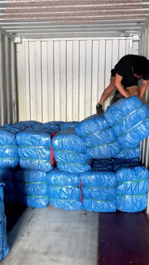 Packing Power: How Gravity Packs Goods Tightly and Safely