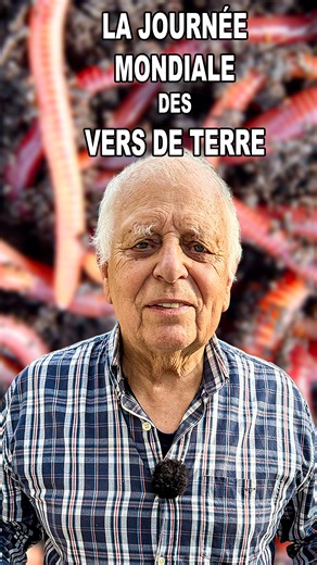 Protégez les vers de terre ! #jardin #jardinage #potager #sol #lombric #verdeterre #nature #conseils #astuces #ecologie | Buissonnets