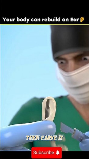 Can Your Body Regrow a Cut Ear? Shocking Truth!