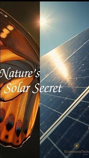 How Butterfly Wings Inspired Solar Panels Nature’s Design for Clean Energy #energyevolution