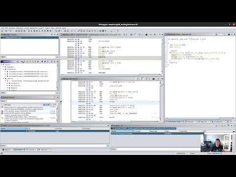 RARE 002: Debugging #Wine Apps with #Ghidra