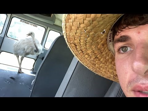 It’s Happening… (Rhea Attack on I35)