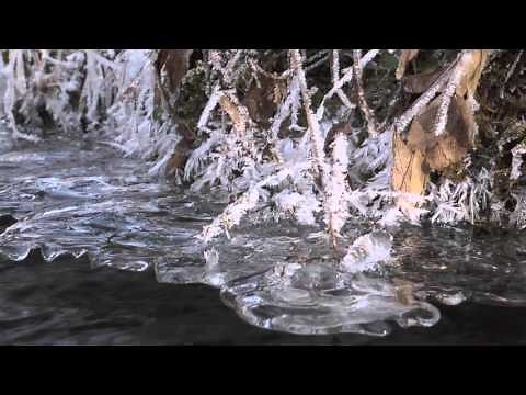 Stream Fishing Newfound River