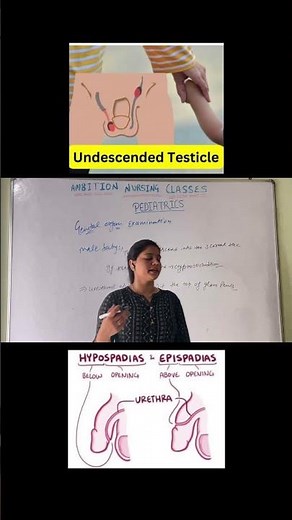 Male Baby Genital Organ Examination