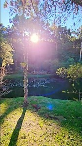 Sempre perto da natureza 🍃 🍀 ❤️
