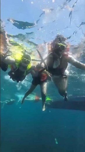 Finding starfish underwater! #starfish #seacreature #ocean #sea #underwaterphotography
