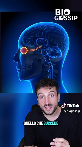 Understanding Blindsight and Its Neuroscience Implications