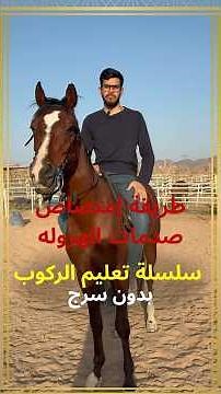 سلسلة تعليم ركوب الخيل بدون سرج طريقة امتصاص صدمات الهرولة #عادل_أمين_مدرب_ركوب_خيل #اكسبلور #خيل