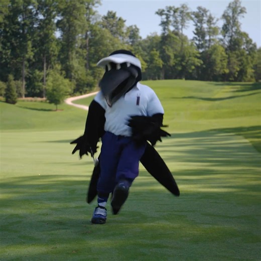 279 reactions · 14 shares | Experience the drama and excitement of the PGA TOUR’s FedExCup Playoffs during the BMW Championship at Caves Valley Golf Club. | BMW Championship | Facebook