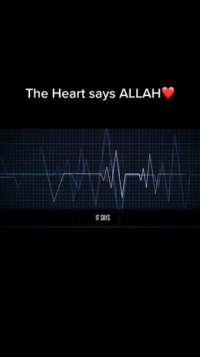 Miracles of Allah SWT and Prophet Muhammad (SAW)