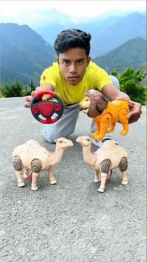 Rc 1 Ta Lion And Remote control 2 Ta Camel 🐪 Unboxing 😍