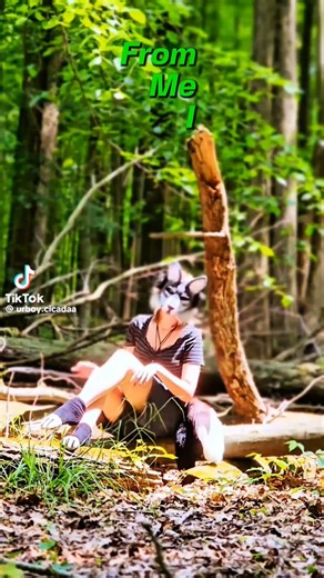 Animals | Therian Musical ✨🐾🌴 #therians #furries #songs #music #capcutedits