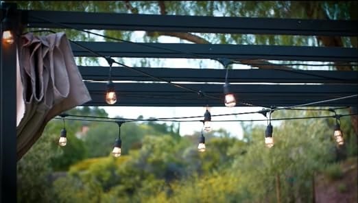 Backyard outdoor lights