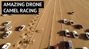 This breath-taking footage captures the historic spectacle of camel racing from a brand new angle 😍 | Storytrender