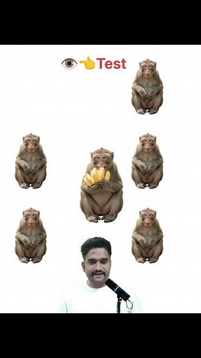 131K views · 326 reactions | 易 Eye + Brain Challenge! These monkeys...