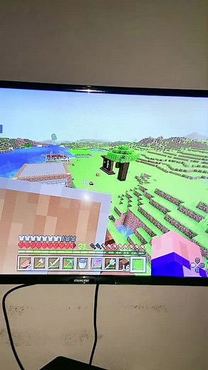 Exploring Minecraft: First-Person Gameplay Highlights