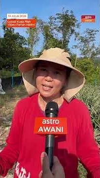Program Sejahtera Komuniti MADANI (SejaTi MADANI) pacu pertumbuhan ekonomi setempat
