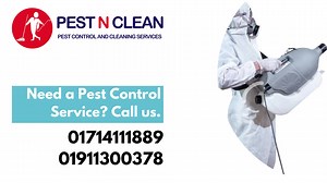 তেলাপোকা, ছারপোকা, উইপোকা, ইঁদুর, মশা, মাছি, টিকটিকি, মাকড়সার মতো সব...