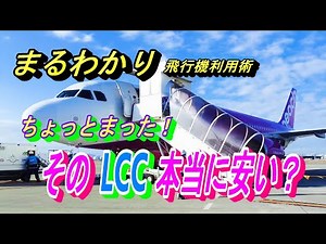 間違った予約をしないように覚えておきたい 国内線LCCの注意点【飛行機 乗り方 ピーチ ジェットスター スプリングジャパン】