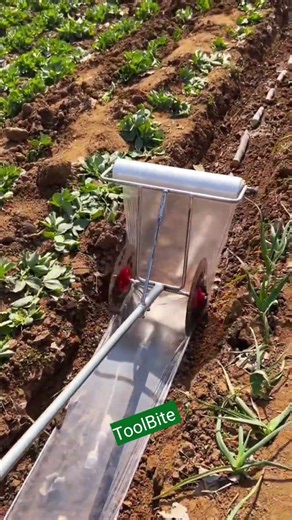 Budget-Friendly Mulch Layer Every Farmer Needs
