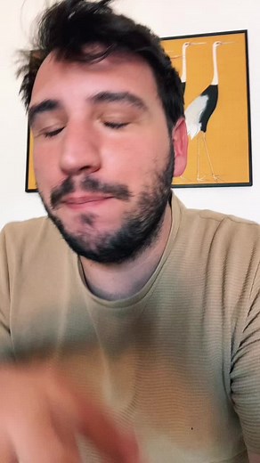 Understanding Sign Language Through Gestures