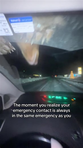 ALINA (@nachemodanax)’s video of the polar bear