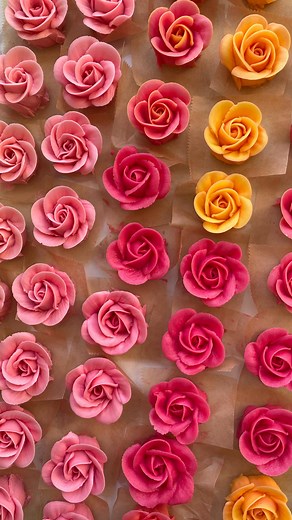 883K views · 29K reactions | Mini Roses for Days  As part of the...