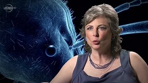 Monster Bug Wars S02E05 ~ Murderous Intent (2012)