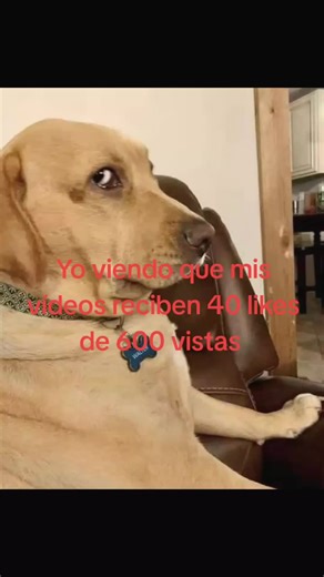 #tiktok #cuentasecreta #noviral #fypシ゚viral