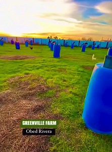 16K views · 664 reactions | Tatak GREENVILLE!!! | Greenville Farm | Facebook
