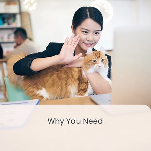 Whether you're working from airport lounges or sipping coffee in your favorite café, unsecured public Wi-Fi can be a gold mine for hackers. That’s where a VPN comes in. It encrypts your connection, ensuring your personal information stays just that—personal. Check out our latest blog to learn how to pick the best VPN for you: https://mcafee.ly/3QQ9UEO | McAfee