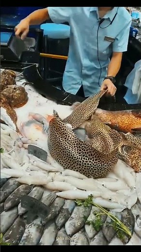 Deadly Stone Fish: The Most Venomous Fish in the World | Amazing Facts & SurvivalTips"