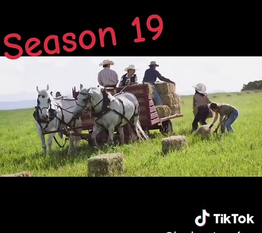 Jessica Steen Feature in Season 19