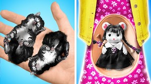 Babies Pets Makeover Challenge in Real Life! by Kaboom Zoom | Zoom Zoom