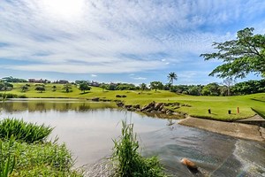 Nine-hole scores: What you need to know