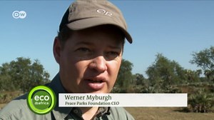 Repopulating wildlife parks in Mozambique