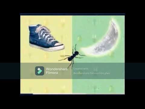 Elmo's World Quiz Bugs VHS Distortion #elmosworld (Click Links In Description)