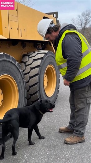 Rescue of a trapped dog by a kind construction worker. A construction worker helped free a dog that got stuck. #AI #Kindness #Viral #Respect Generated using Kling AI . . . (For entertainment purposes only. Consult professionals if guidance on activities is presented. No brand affiliation is implied if any are shown. If inspired by true events, creative adaptations may be included. Content may include public footage.) | Fabiosa Fitness
