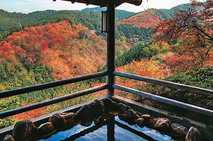 The top 10 hot springs Japanese travelers want to visit this fall