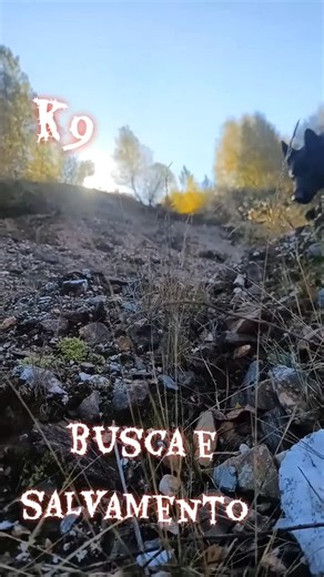 Claudio Duarte on Reels