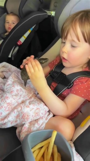 Baby's Fear of Bugs: Understanding Their Reactions