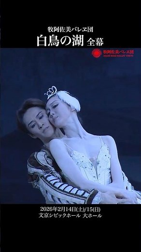 牧阿佐美バレヱ団 2026年2月公演「白鳥の湖」P.V.#ballet #バレエ #ballerina #balletdancer #dance #牧阿佐美バレエ団