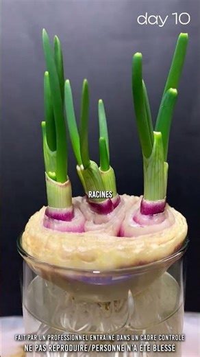 😳 Glitch d’argent infini…